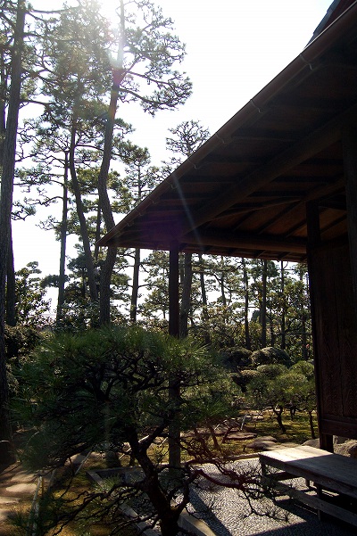d0123346_227490.jpg