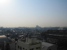 d0034659_21253448.jpg