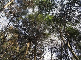 d0113561_13595786.jpg