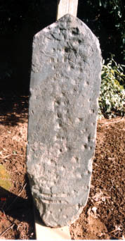 e0018762_1131999.jpg