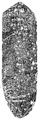 e0018762_1145030.jpg