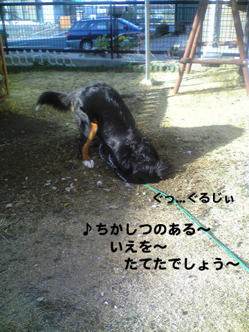 e0124868_2036959.jpg