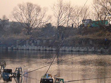 a0096669_15151722.gif