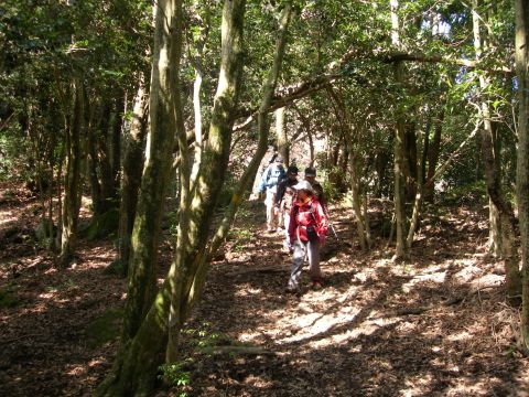 c0042869_207103.jpg