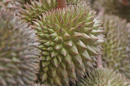 c0134569_1926744.jpg