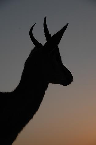 e0066474_4384670.jpg