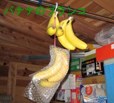 f0003174_12485932.jpg