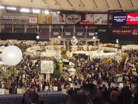 a0079880_17261639.jpg