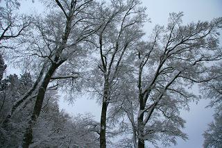 f0073587_7553979.jpg
