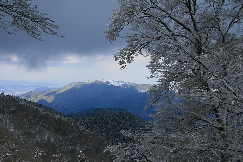 f0073587_7564543.jpg