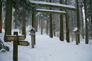 f0073587_757524.jpg