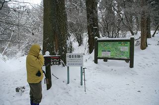 f0073587_75811.jpg