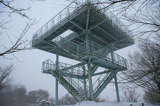 f0073587_8131032.jpg
