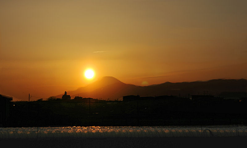 c0061695_1652163.jpg