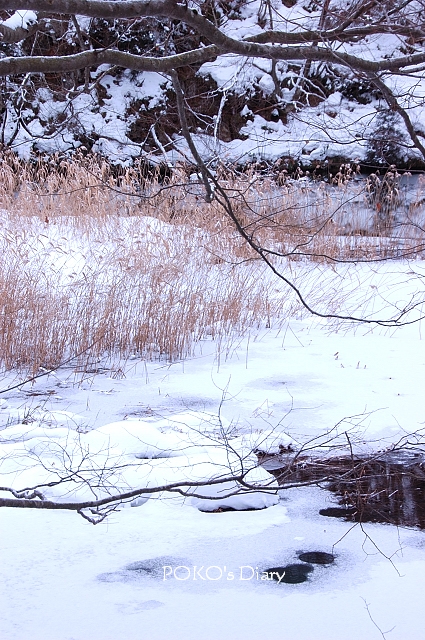 c0134295_2333305.jpg