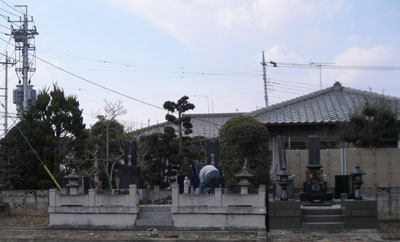 d0000995_1133810.jpg