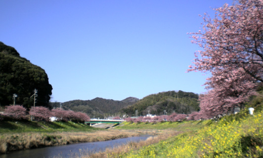 d0129295_15175580.jpg