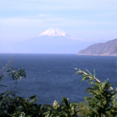 d0129295_15203269.jpg