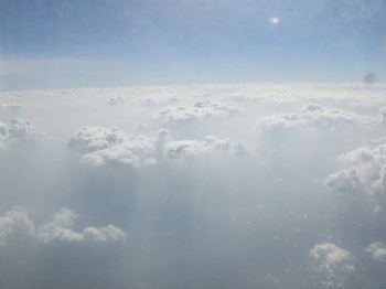 d0024504_1455611.jpg