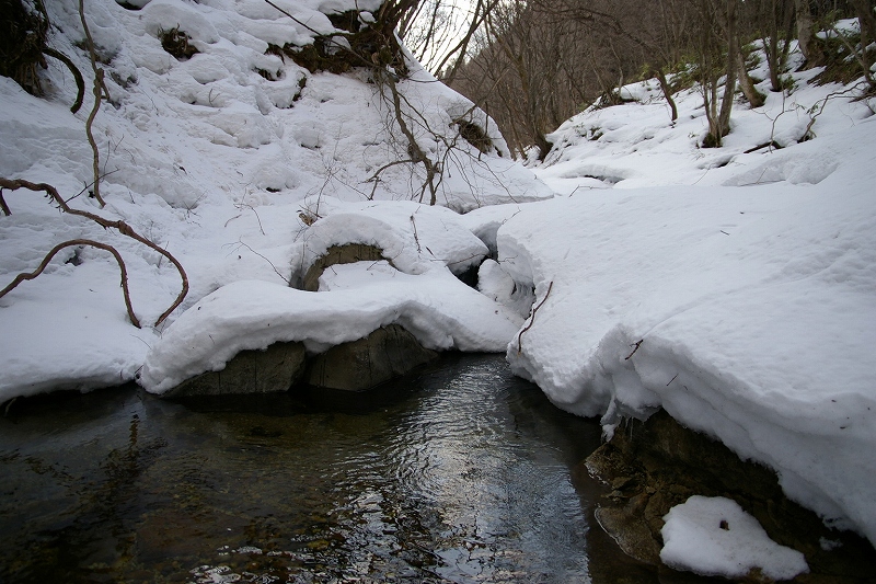 b0050305_17423233.jpg