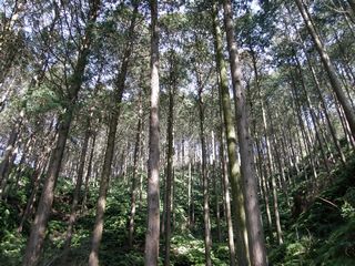 b0061107_10515633.jpg