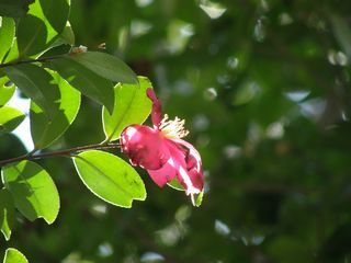 b0061107_10523511.jpg