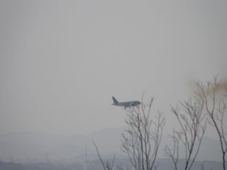 b0061107_1054411.jpg