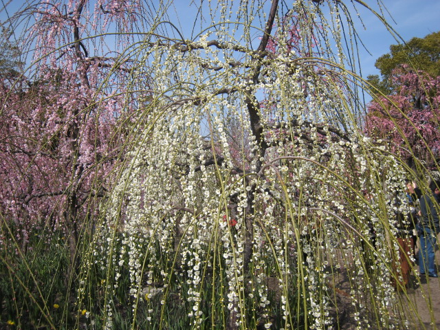 c0152507_22555782.jpg