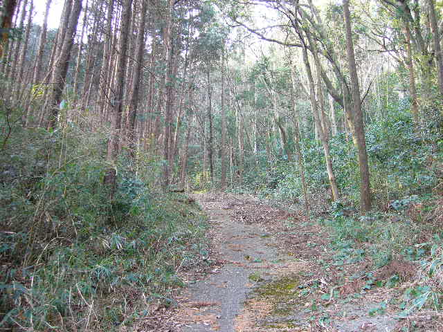 e0015108_2353245.jpg