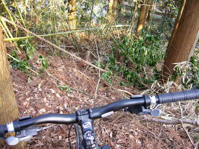 e0015108_23533688.jpg