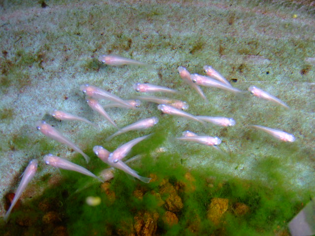 f0152308_14502524.jpg