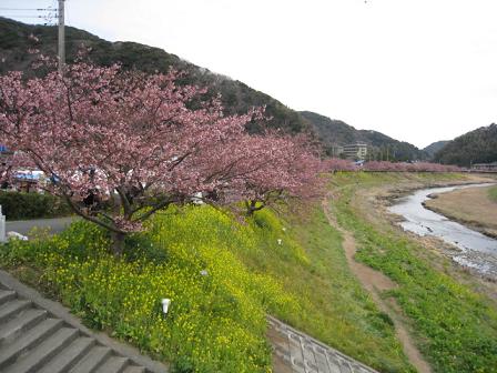 f0040310_1246383.jpg