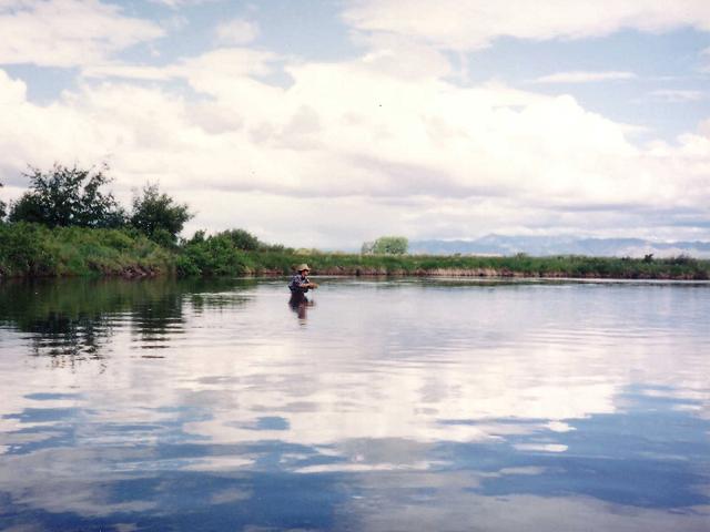 e0144221_1545731.jpg