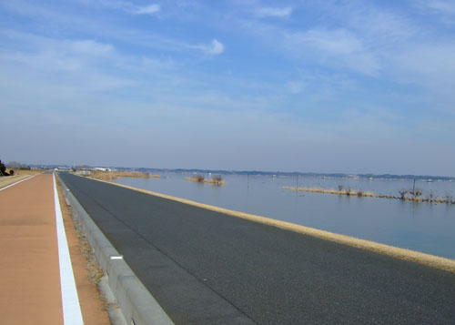 f0147025_21102850.jpg