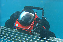 b0044726_21293982.jpg