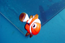 b0044726_2130381.jpg