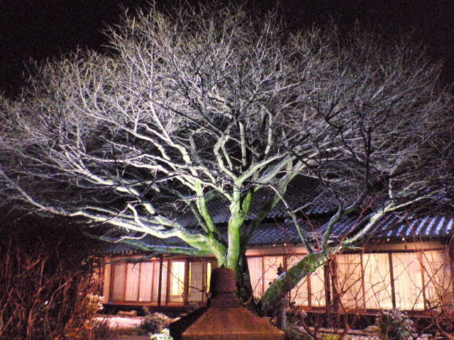 e0064133_22593517.jpg