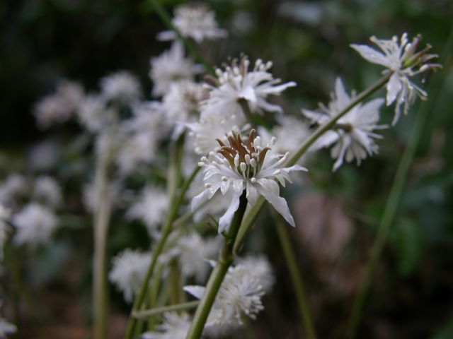 e0145033_1931886.jpg