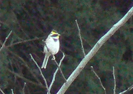 c0109235_23344077.jpg