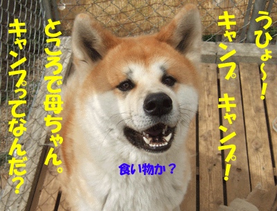 f0008935_13371166.gif