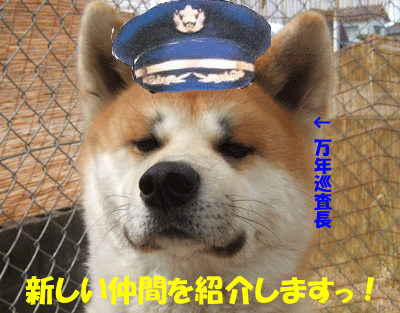 f0008935_21225154.gif
