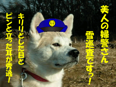 f0008935_21231194.gif