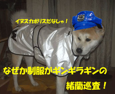 f0008935_2123287.gif