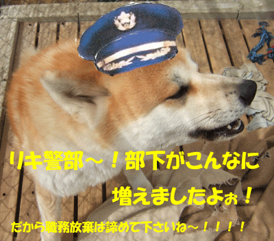 f0008935_2134032.gif