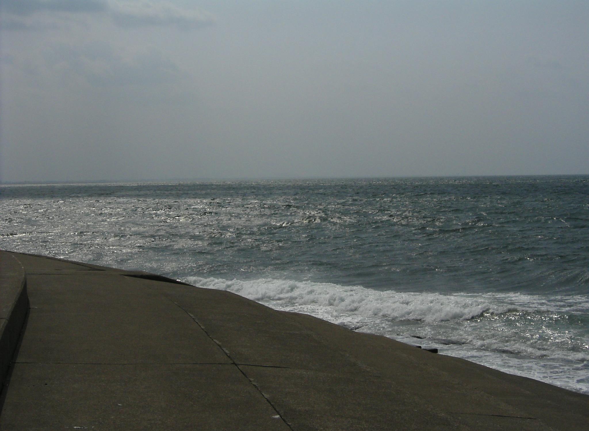 c0026846_19184216.jpg