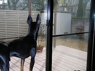 c0123149_1623135.jpg