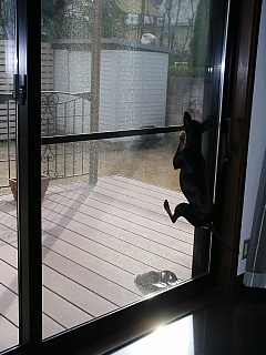 c0123149_1625667.jpg