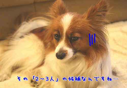 d0013149_0513142.jpg