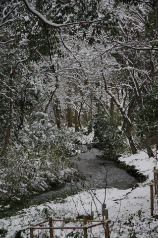 a0024250_23182699.jpg