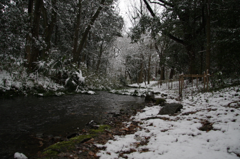 a0024250_23184120.jpg
